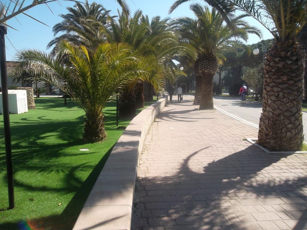 Hotel Quattropalme Tortoreto Dış mekan fotoğraf